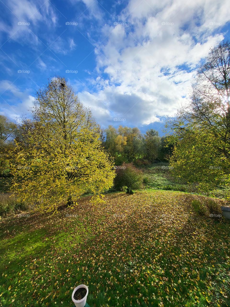 wunderschöne Natur  im Herbst