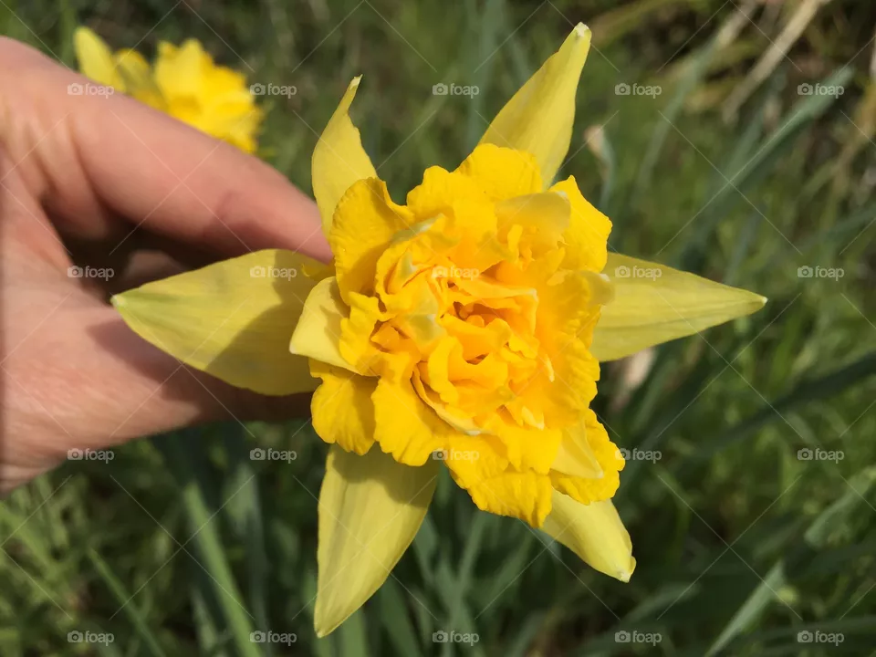 Spring time 