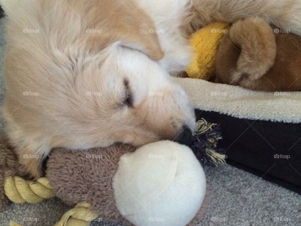 Using stuffed toys as pillows is perfect! 