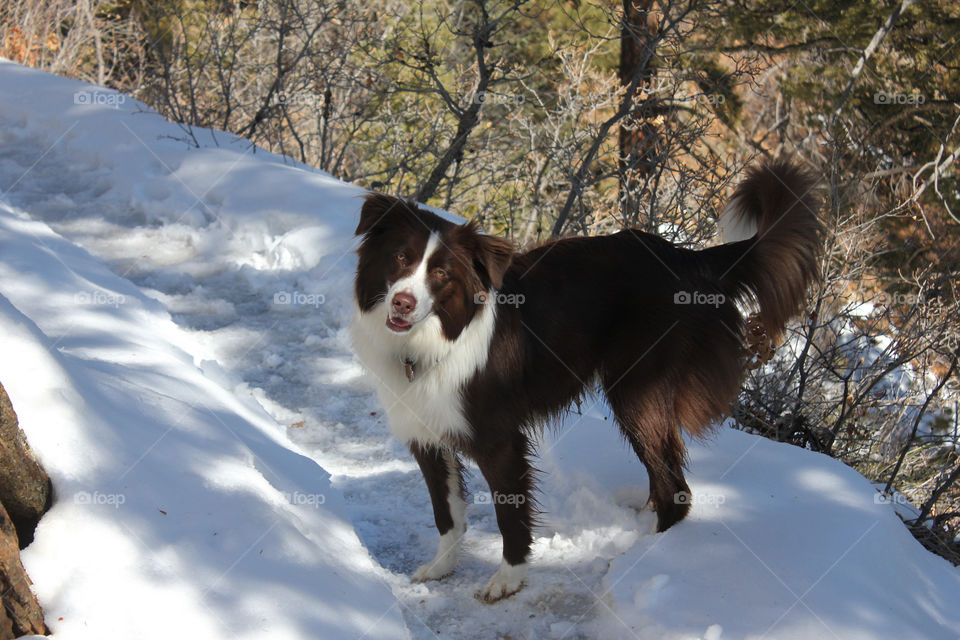 Oh hello there! I didn’t see you. Would you want to come play with me?