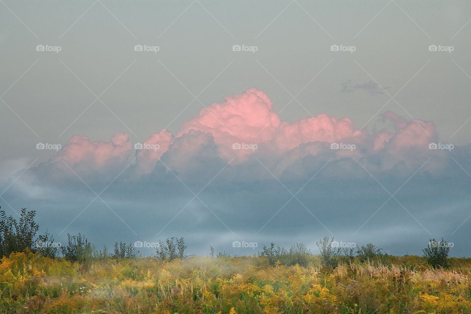 pink cloud over the field