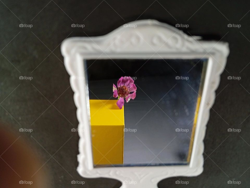 flower, framed by the mirror