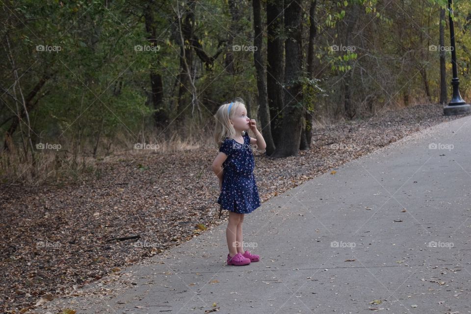 Little girl looking up at trees