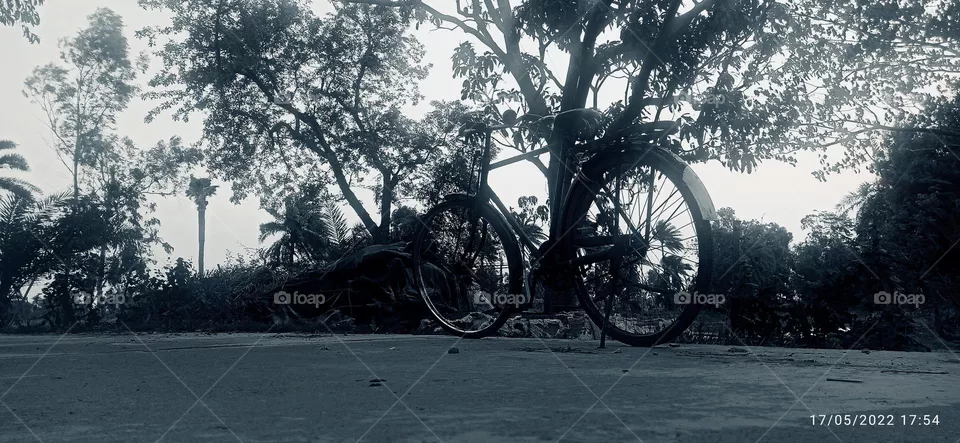 a lone cycle for you
