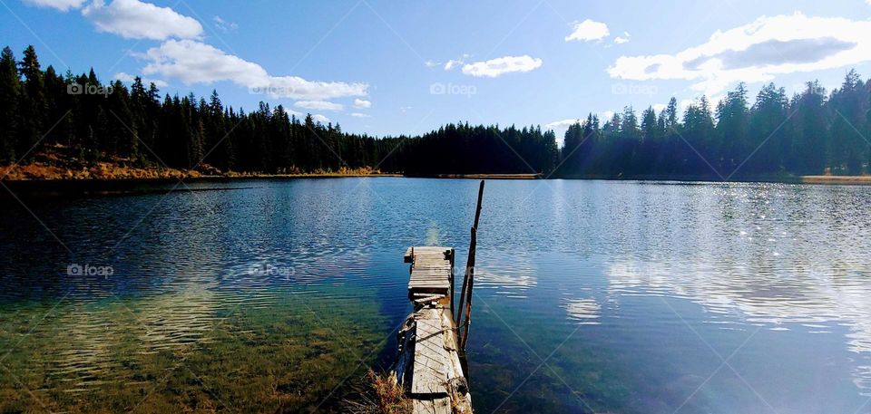 View from the dock of the lake .At the lake