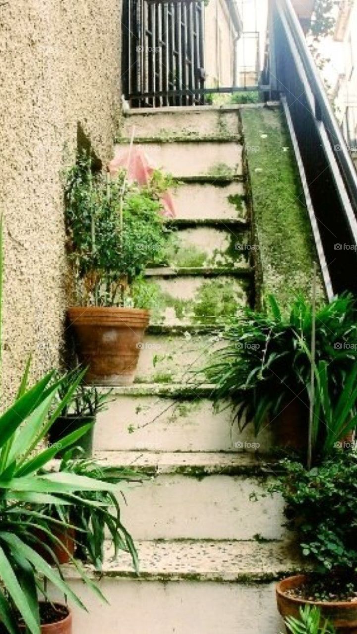 Garden stairs
