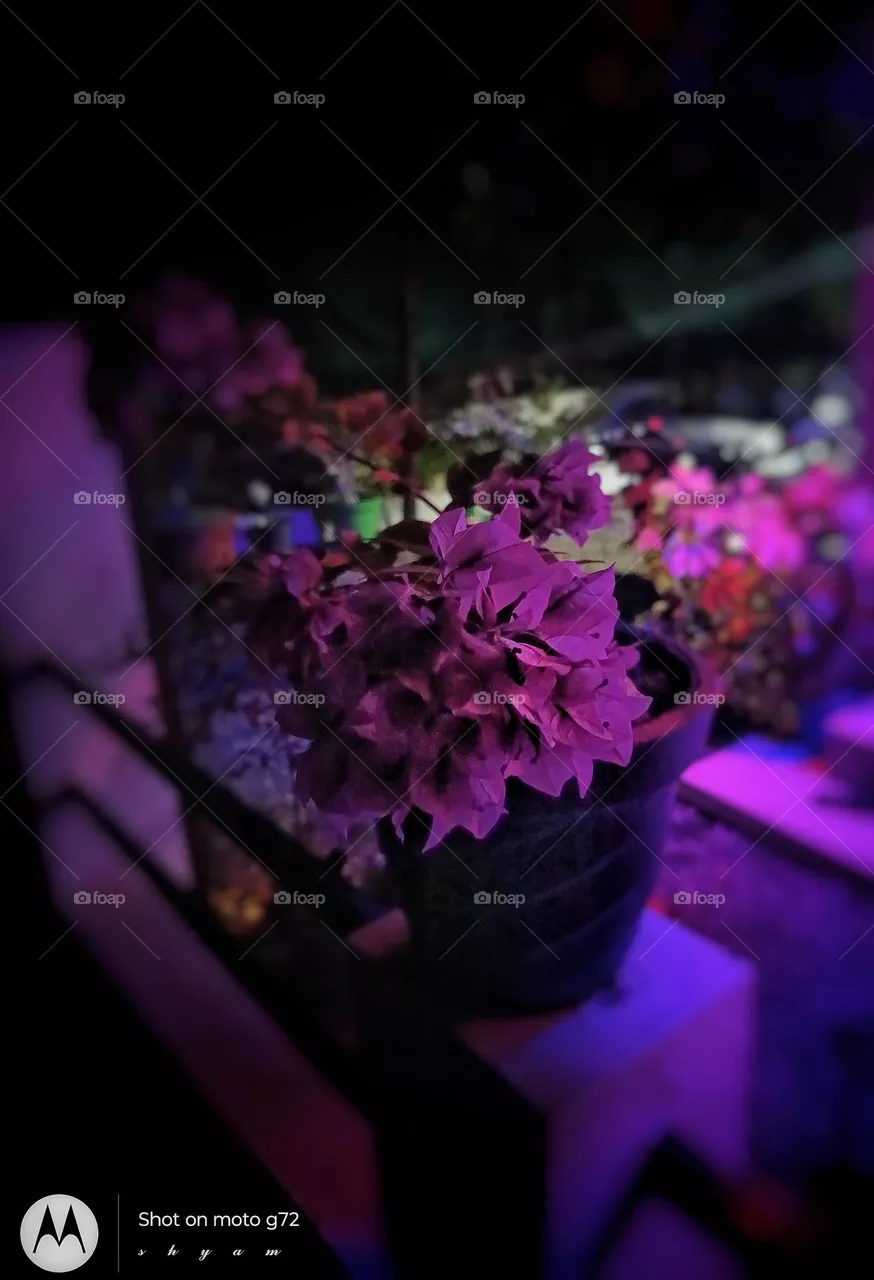 night colours