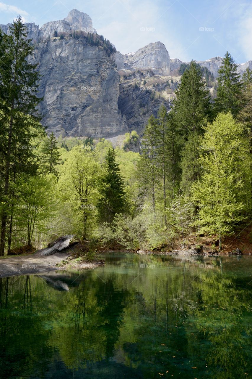 Écrin de verdure au cirque de Sixt-Fer-à-Cheval (Alpes - France)