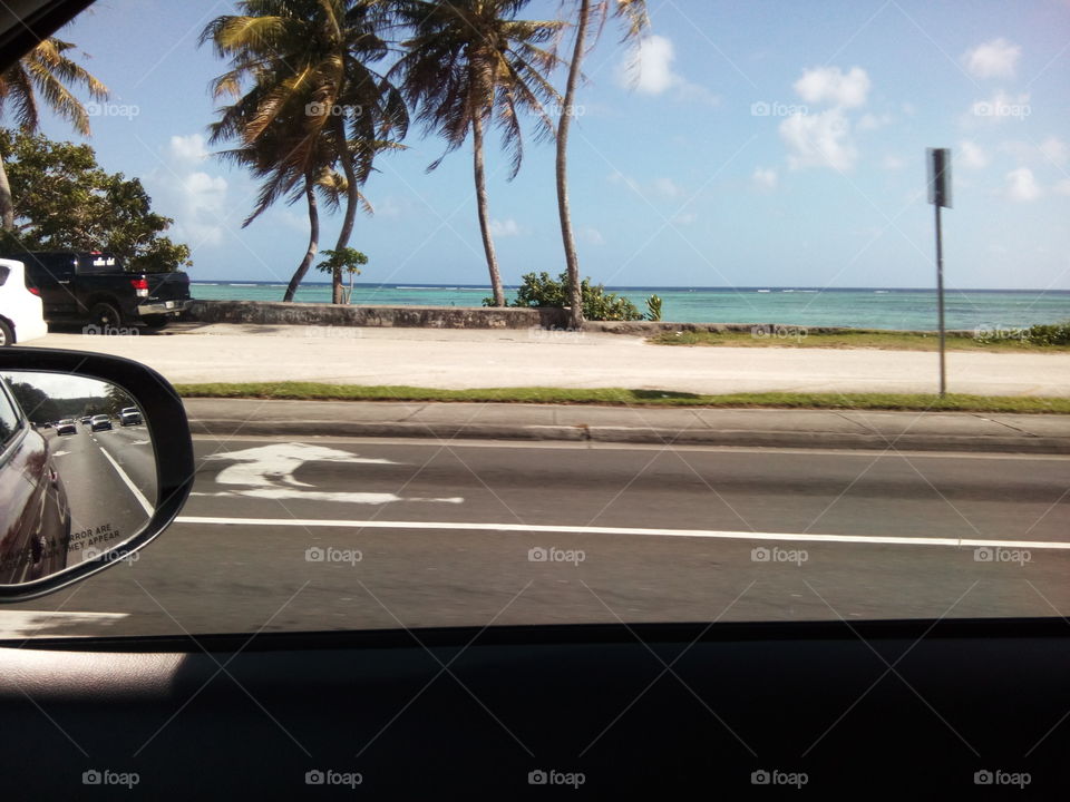 Beach and coconut tree