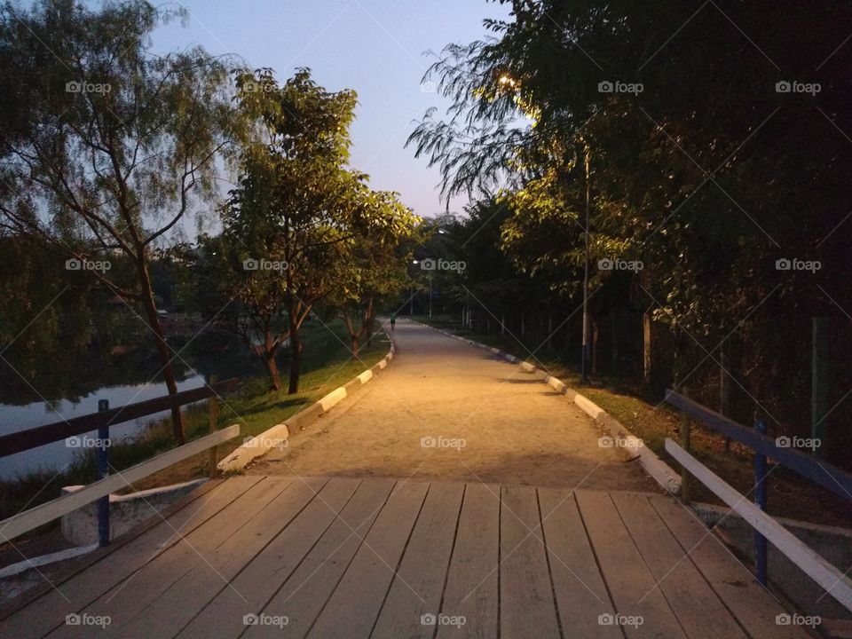 The way of the peace