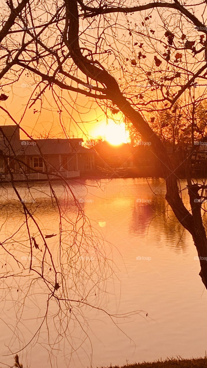 Setting Sun through trees on Lakebed reflections of shore Landscape on Lake Waters. colors casting on waters. 