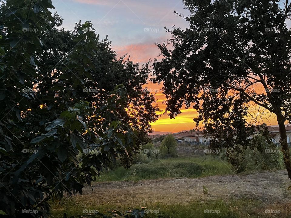 Sunset View, when the sun hide behind the trees 