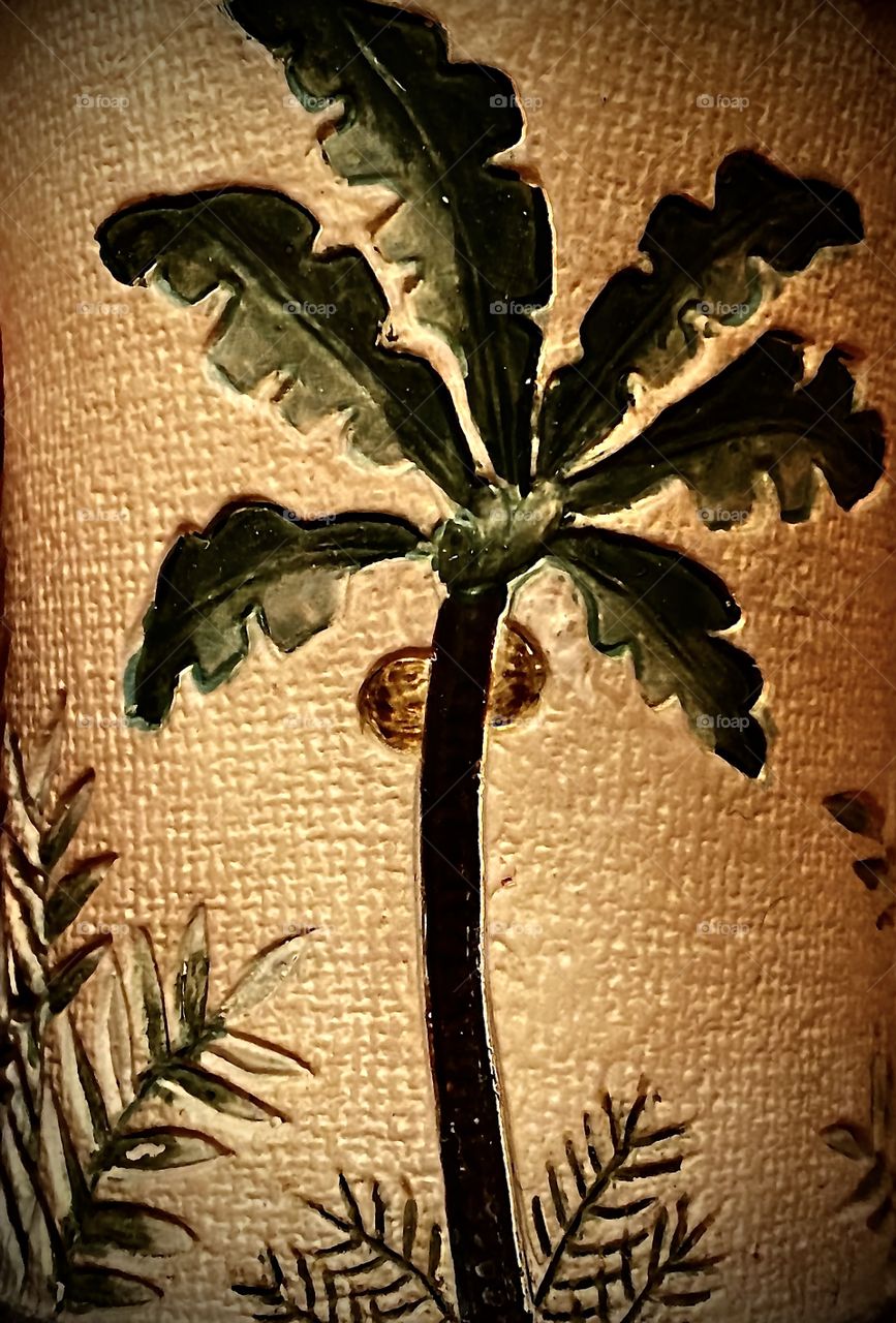 Palm Tree and Coconuts