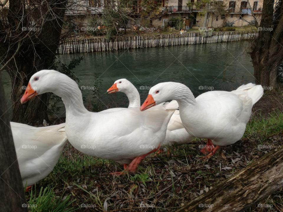 The storm is coming. We're going to home