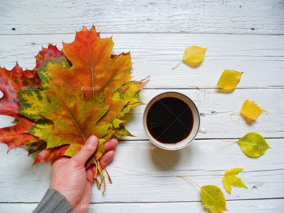 autumn and coffee