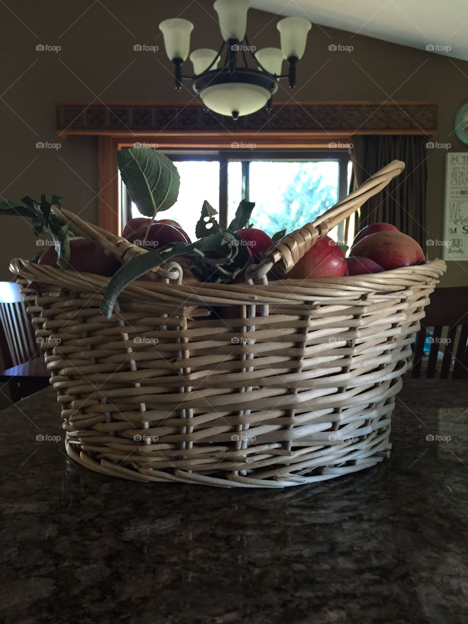 A Basket Full of Apple Goodnes. 
A basket of apples from my apple tree. 