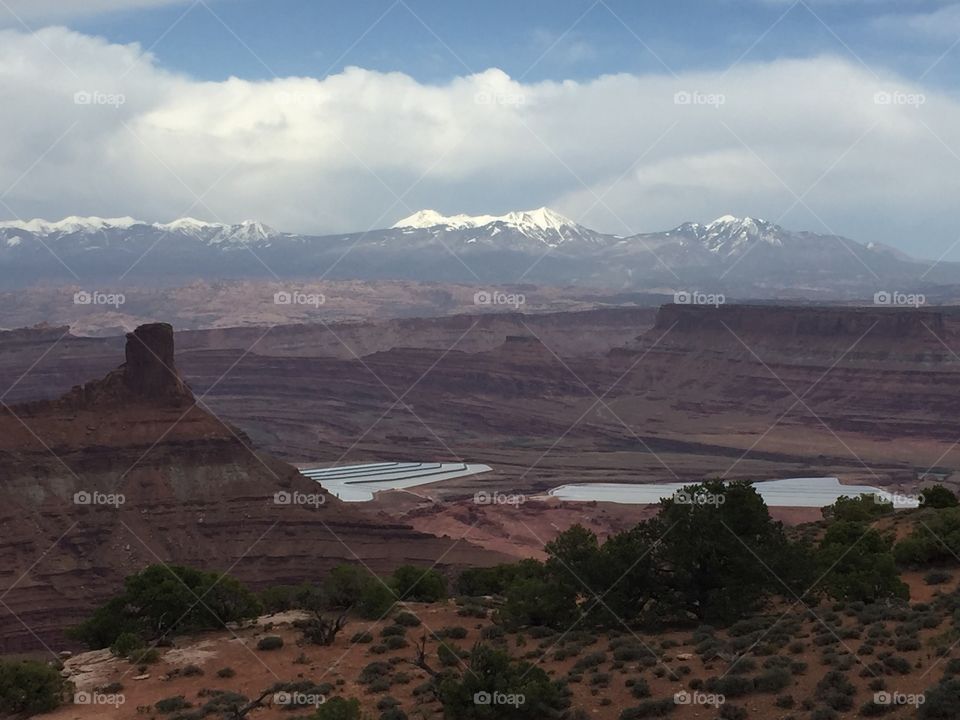 Canyonlands vista