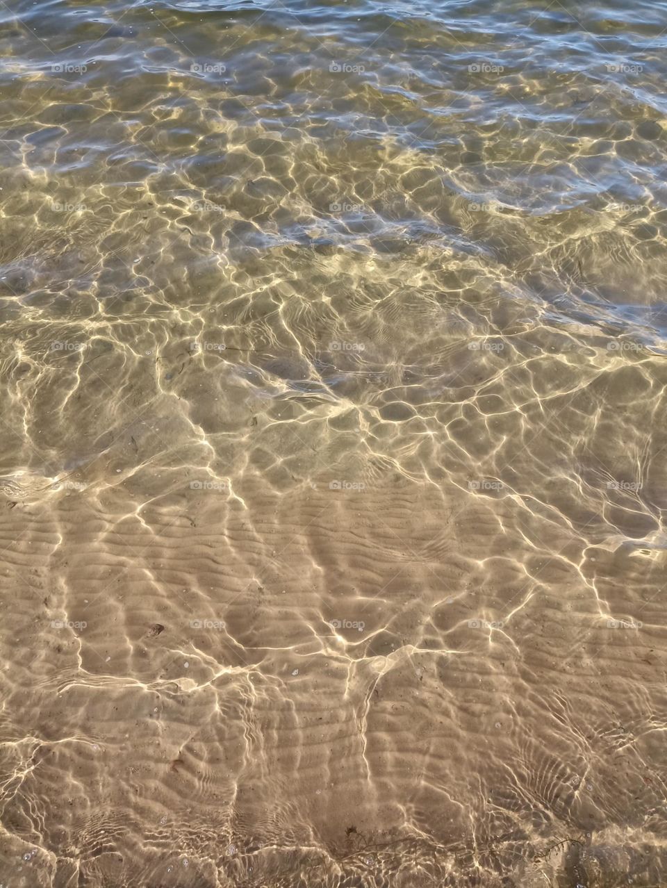 clear water urban lake beautiful texture