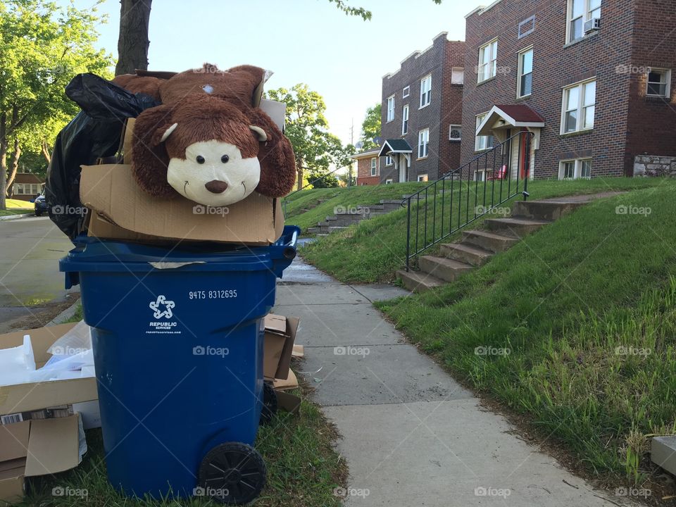 Stuffed bear in trash