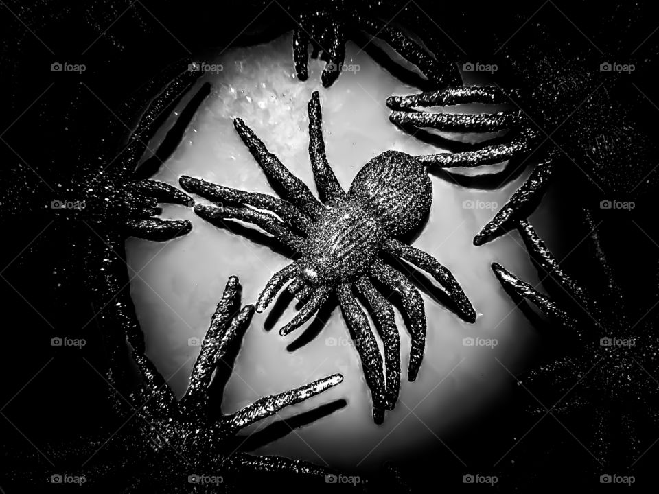 Black and white Halloween spiders