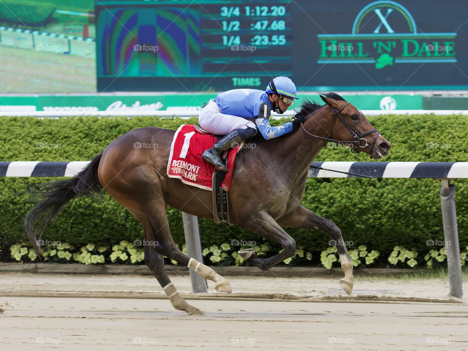 Betsie Blue Bouwerie Stakes by Fleetphoto.net