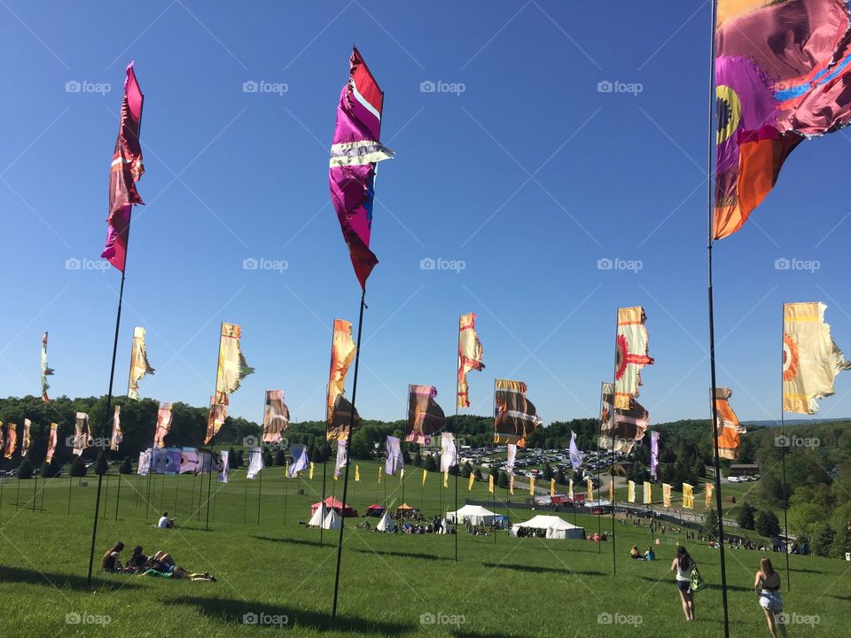 Flags over MysteryLand 