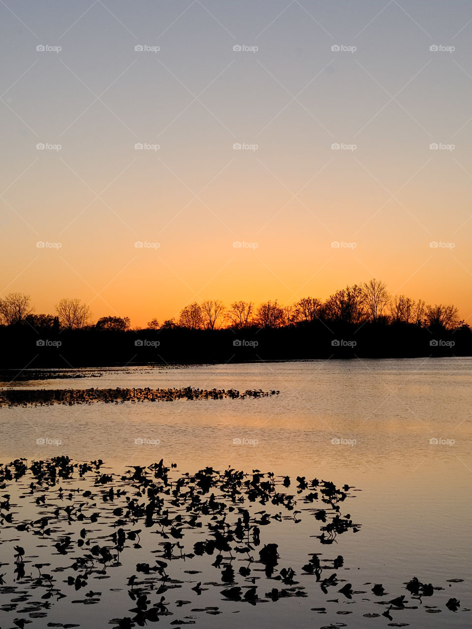 Sunset over pond 14K