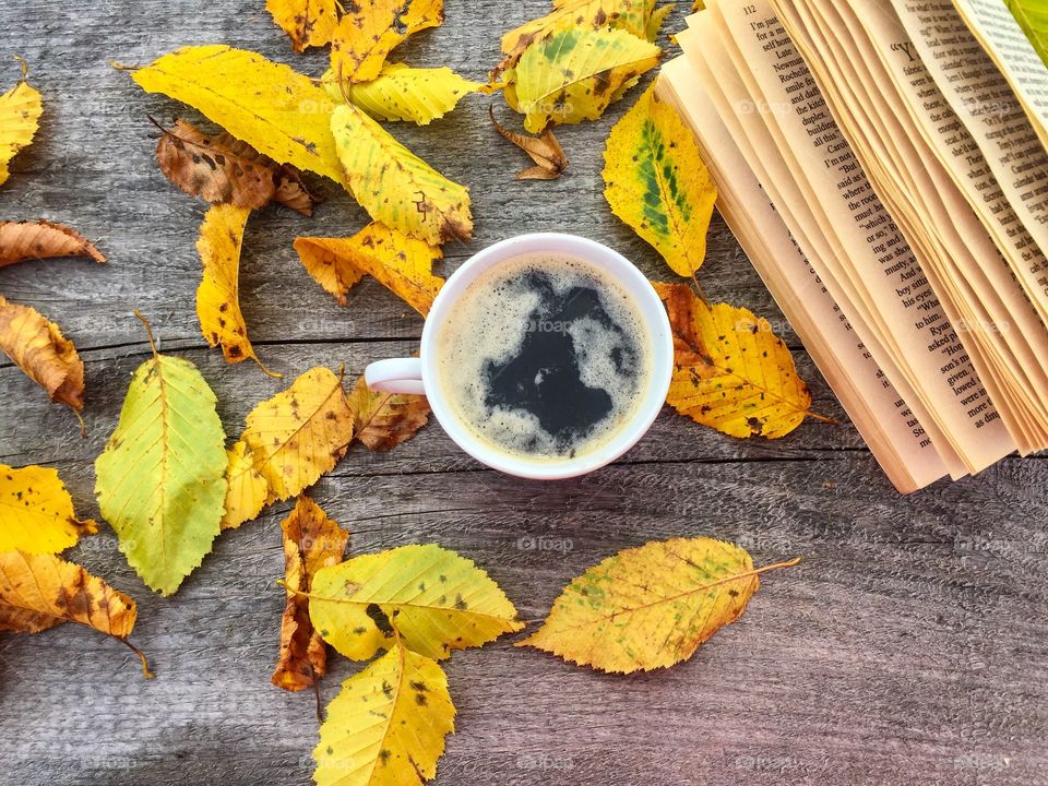 No Person, Leaf, Wood, Fall, Desktop