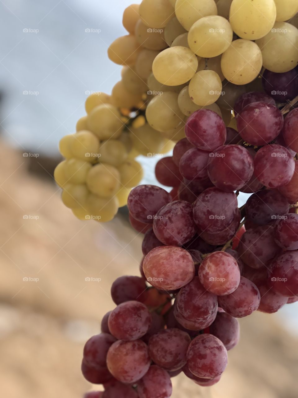 Red and green go well together 