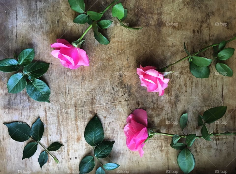 Beautiful bright pink roses with leaves on a wooden table