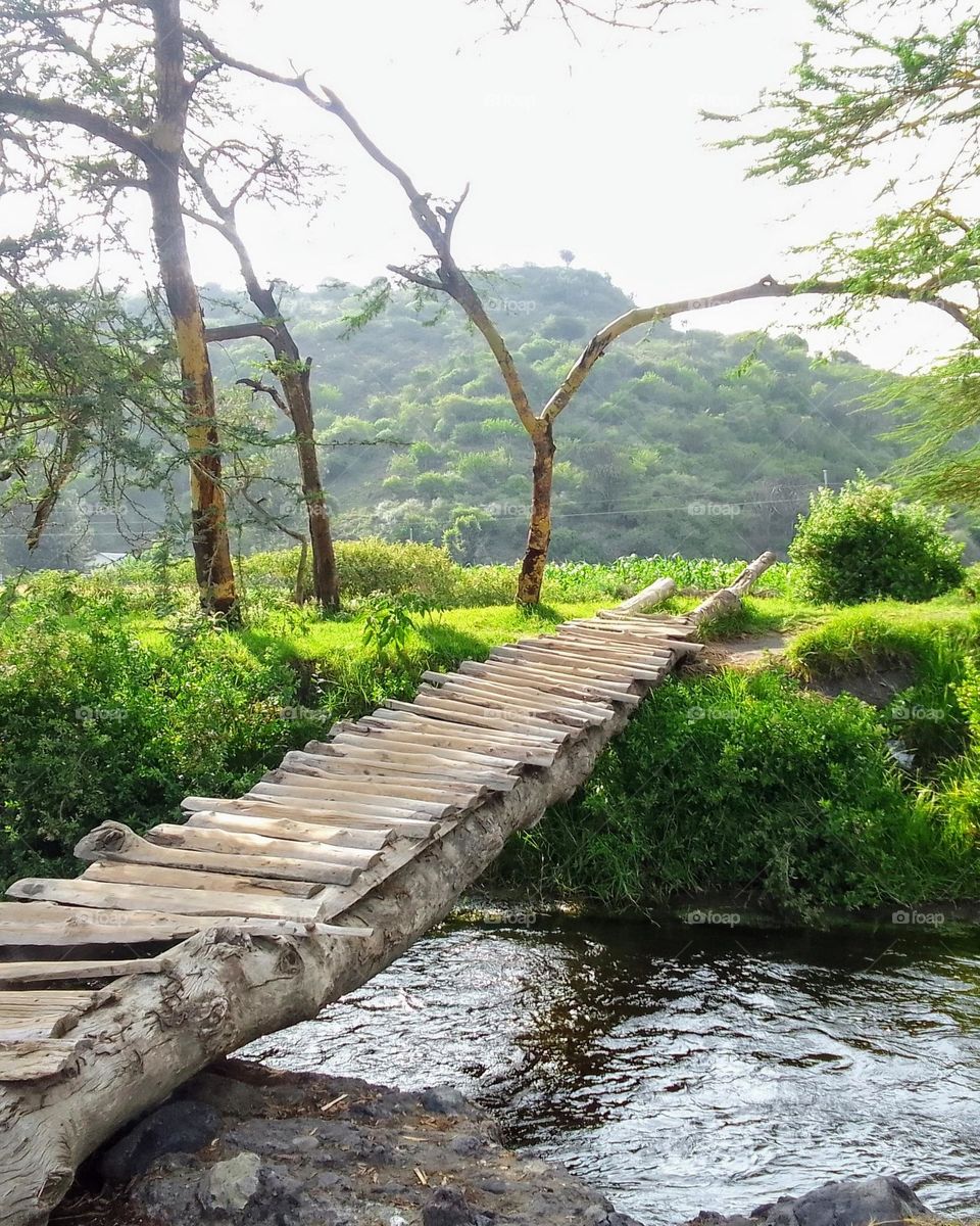 This beautiful local bridge caught my eyes! Found somewhere around Ngarenanyuki in Arusha Tanzania.
Photographed•
February 05, 025|04:49pm