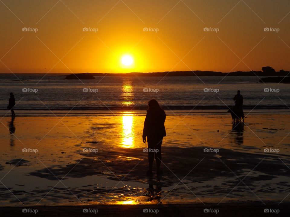 Silhouette of people at beach during sunset