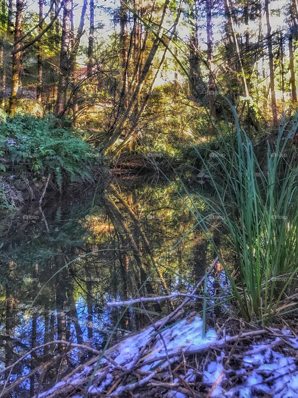 Reflection pond 