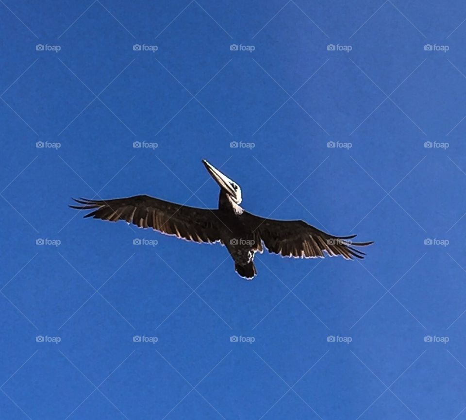 Look up when in a boat