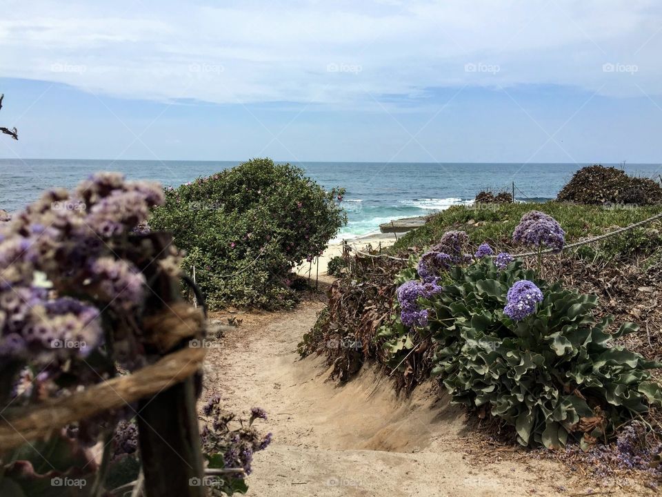 La Jolla Pathway to Tidepools