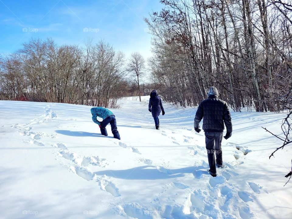 walking to the forest