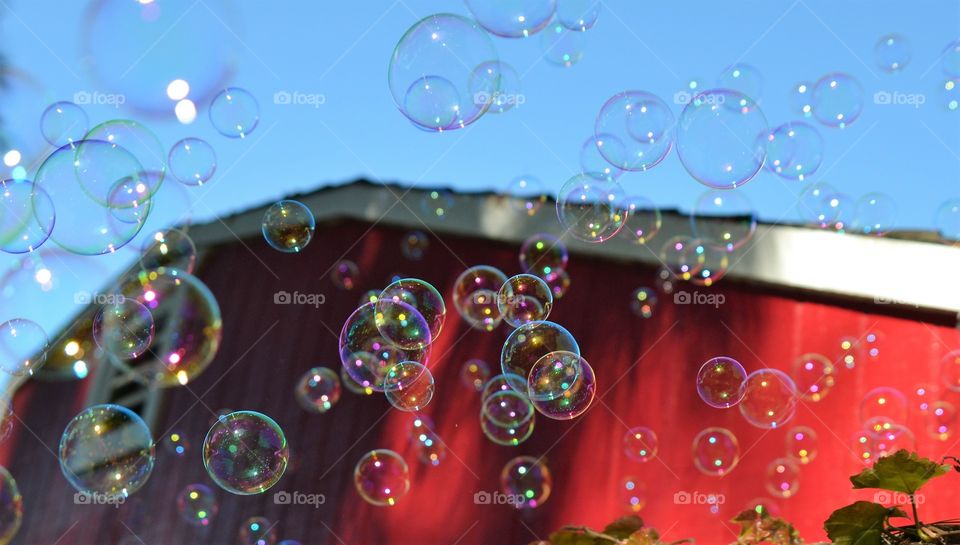 Bubbles and barn