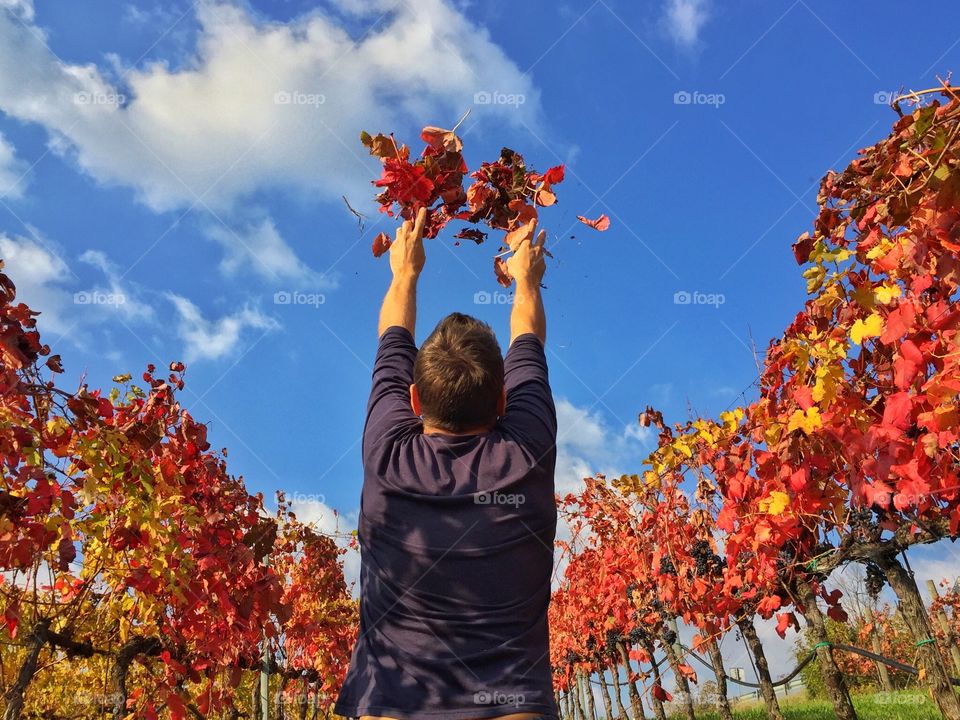 I am throwing red leaves to the Sky in an autumn contest