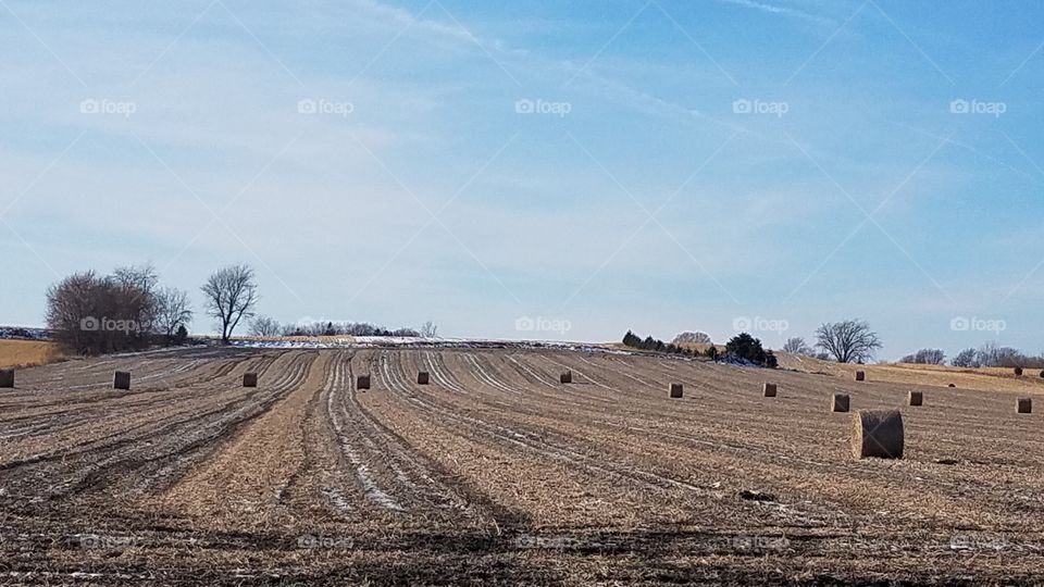 Farm field