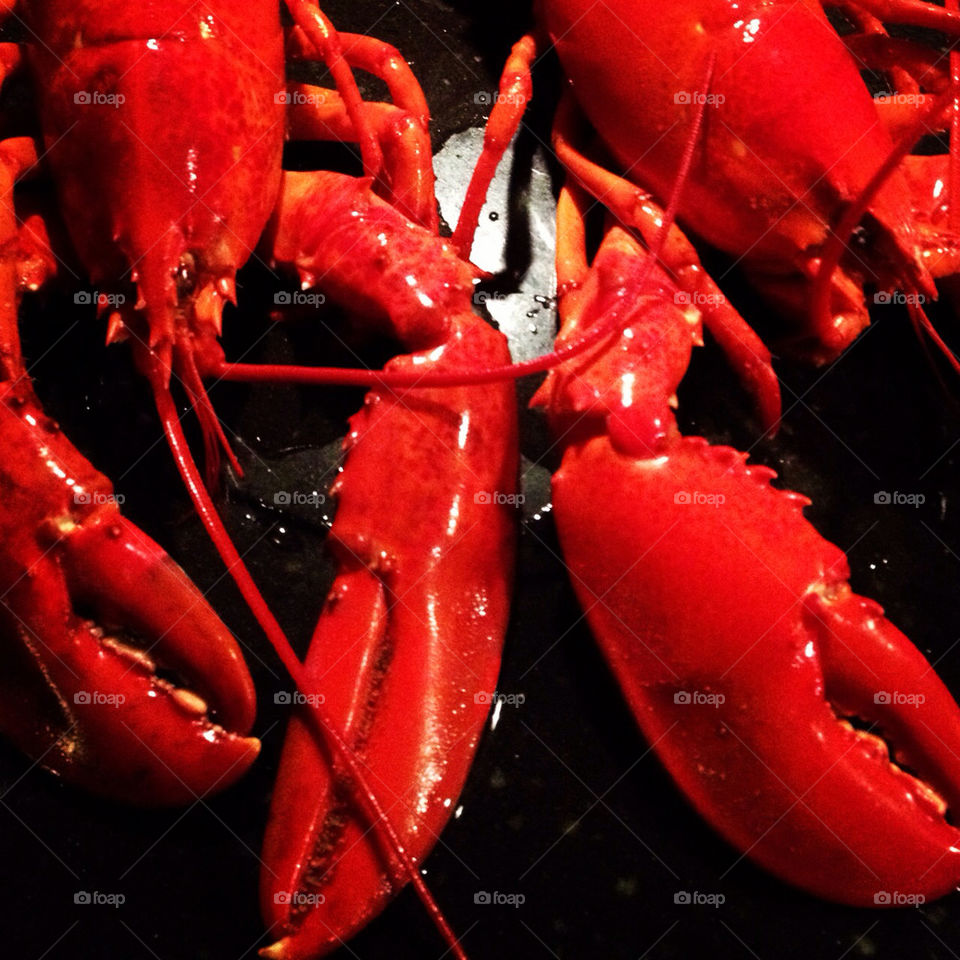 Lobster, seafood
