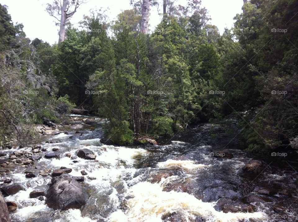 Beautiful tasmania 