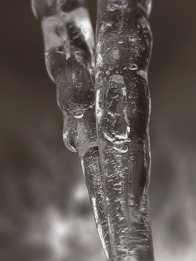 Icy artistry