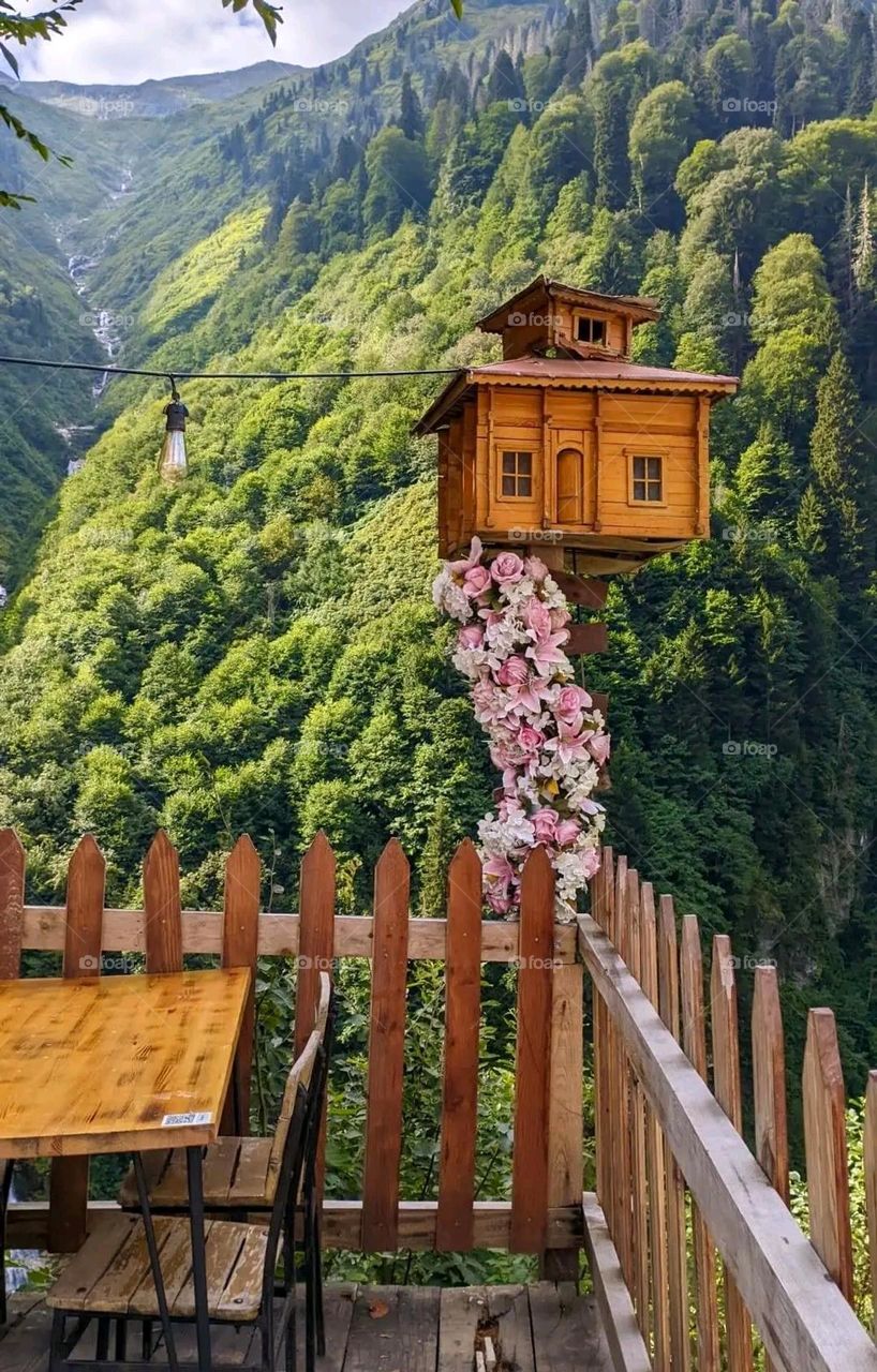 A very beautiful picture, and there is no better picture than it. There is no better picture of green herbs and colorful, red and white roses than it. Glory be to God, the natural and picturesque view, and there is no more