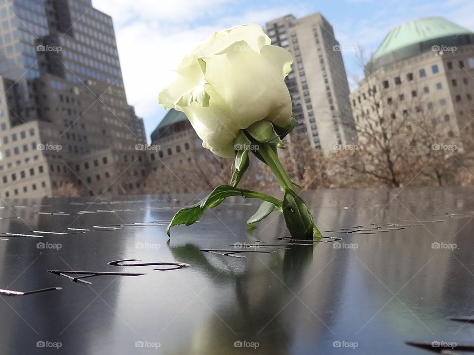 911 remembered