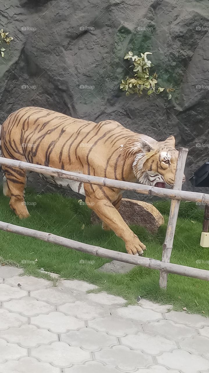 The tiger is very very force and nice click