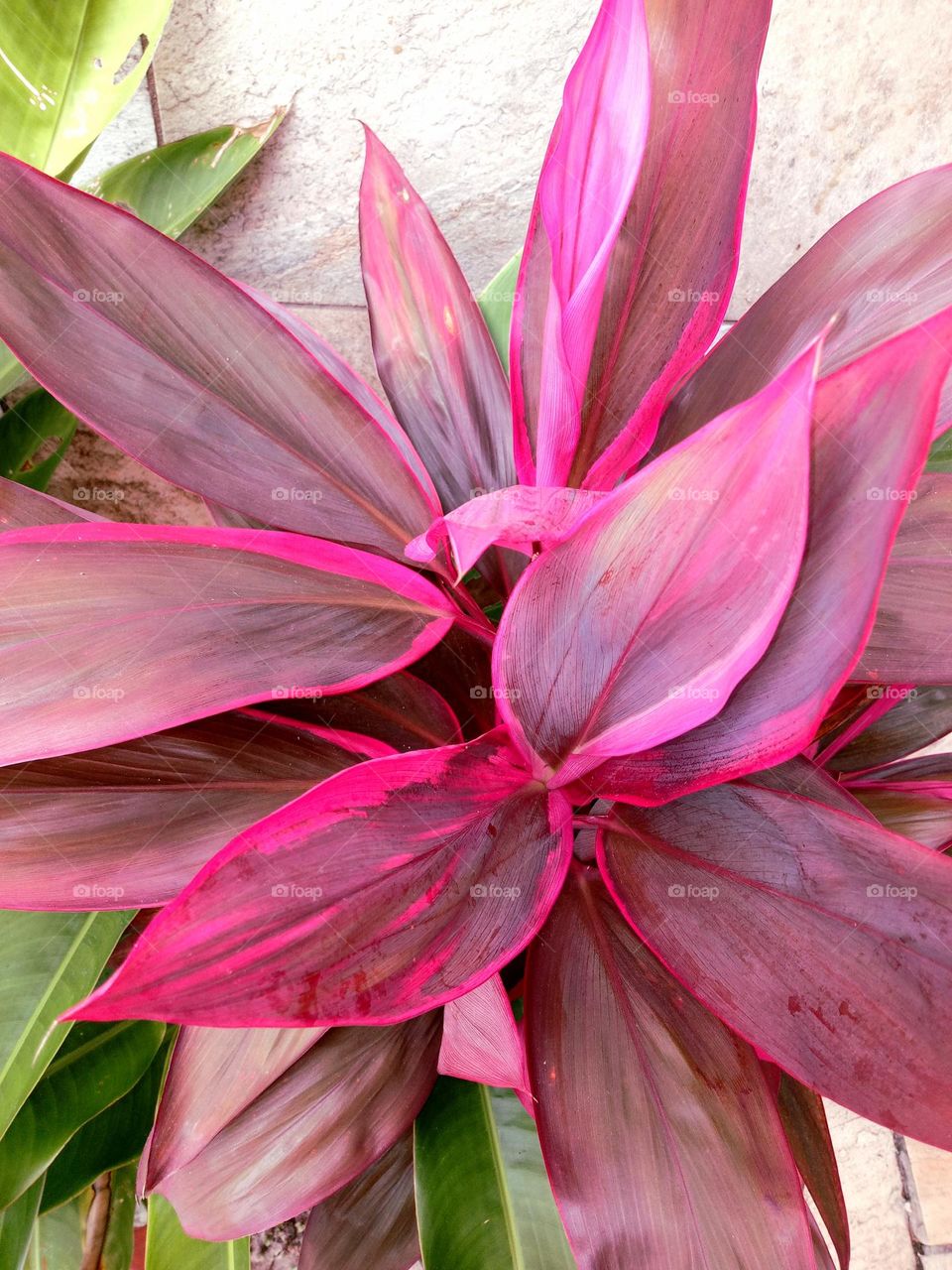 Something wonderful and colorful