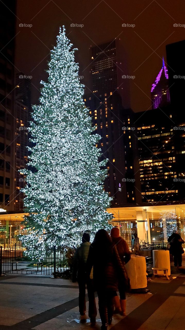 Christmas tree,  Chicago, Illinois