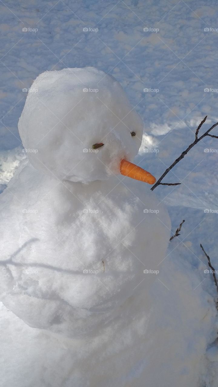 Snowman watching