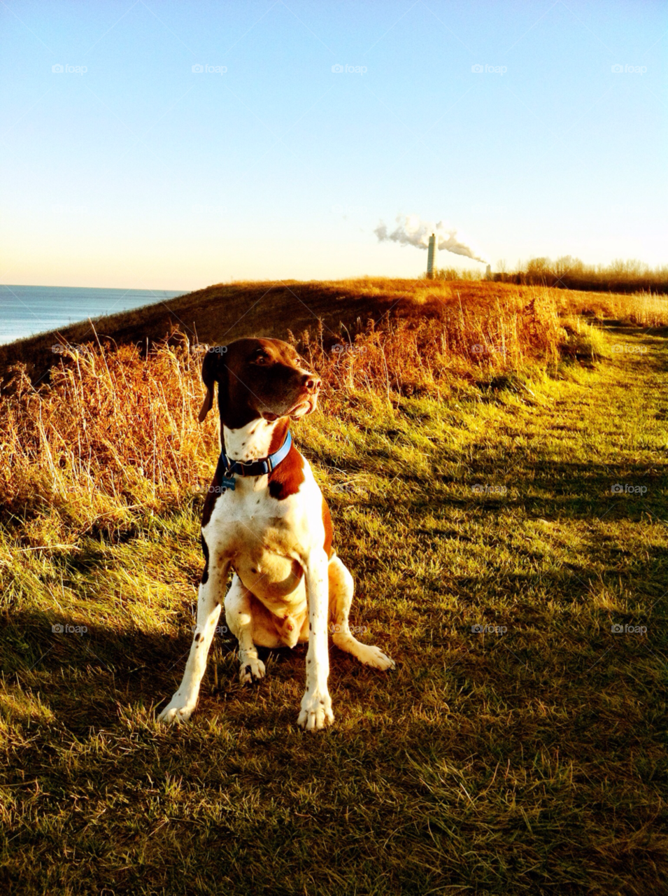 oak creek park hiking pointer by doug414