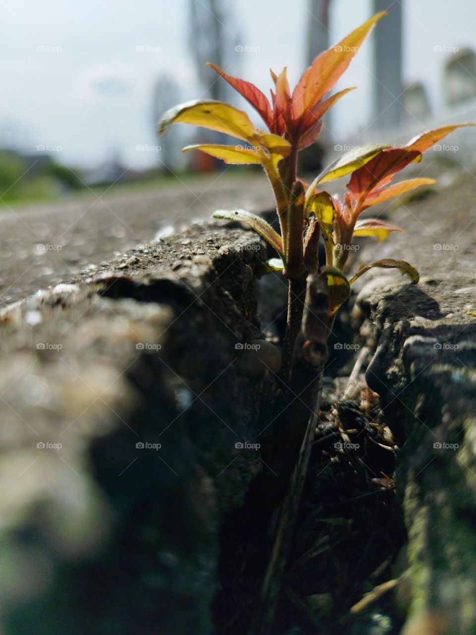 Broken ground, power of Nature